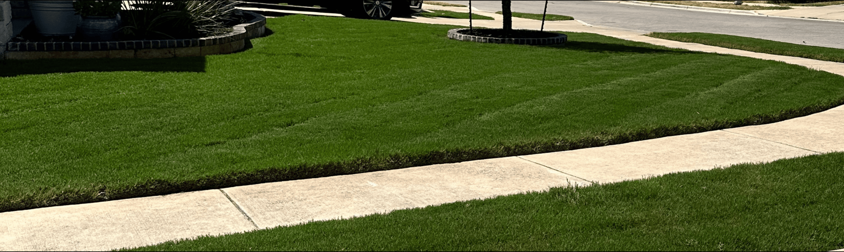 THL Blue Lawn Rehab