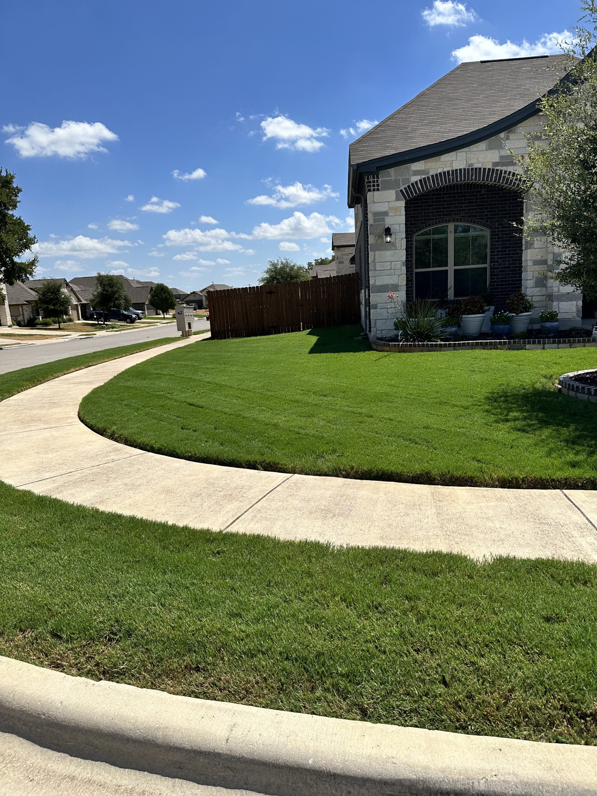The Manchaca Lawn Project